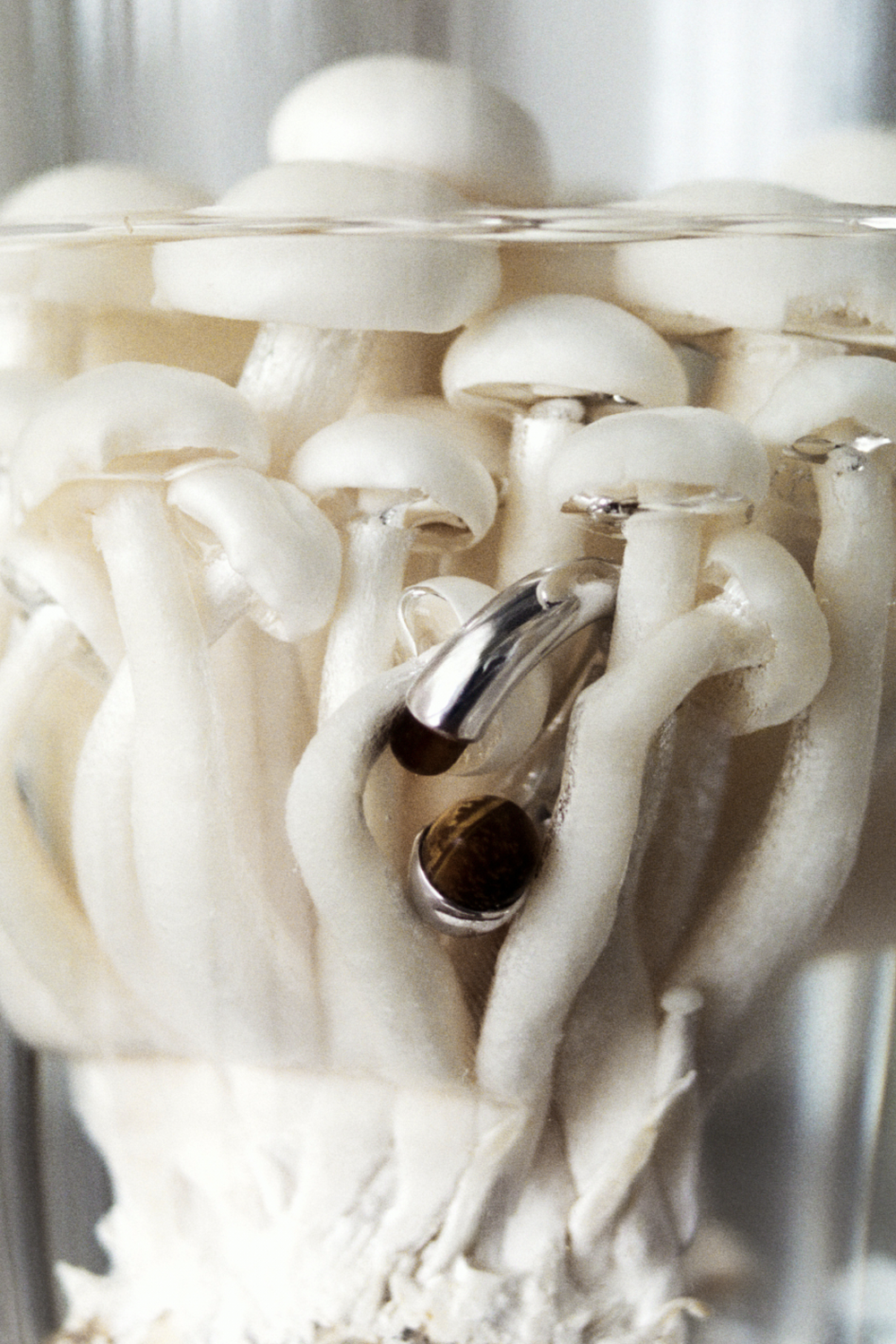 Mushroom Ring