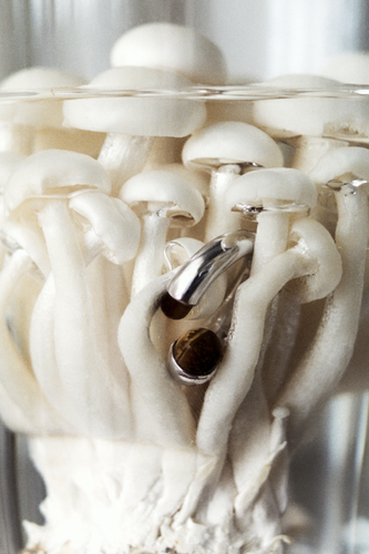Mushroom Ring