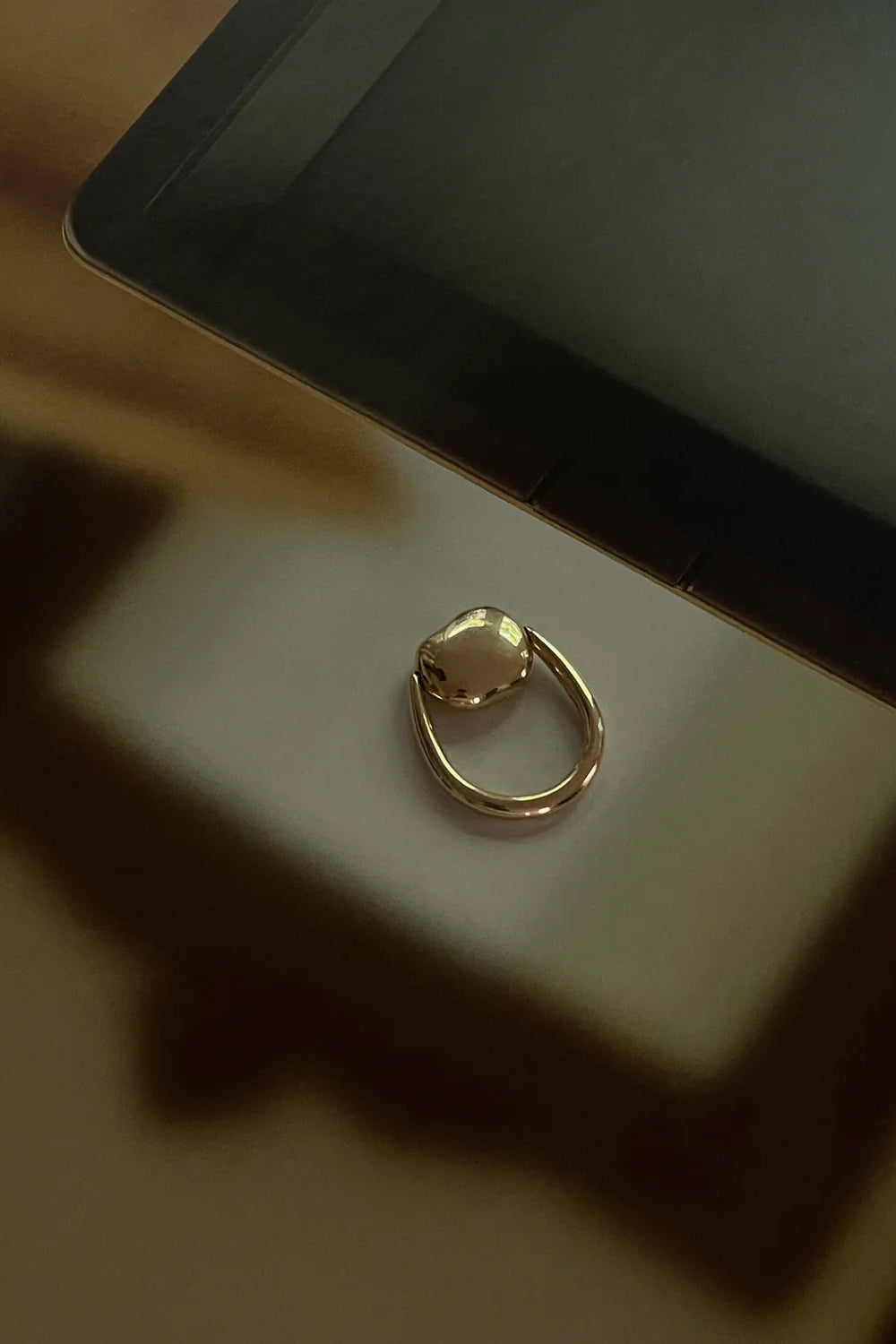 FF Swivel Ring