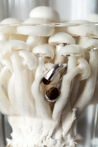 Mushroom Ring in 925 silver with a tiger's eye stone, tucked among white beech mushrooms.