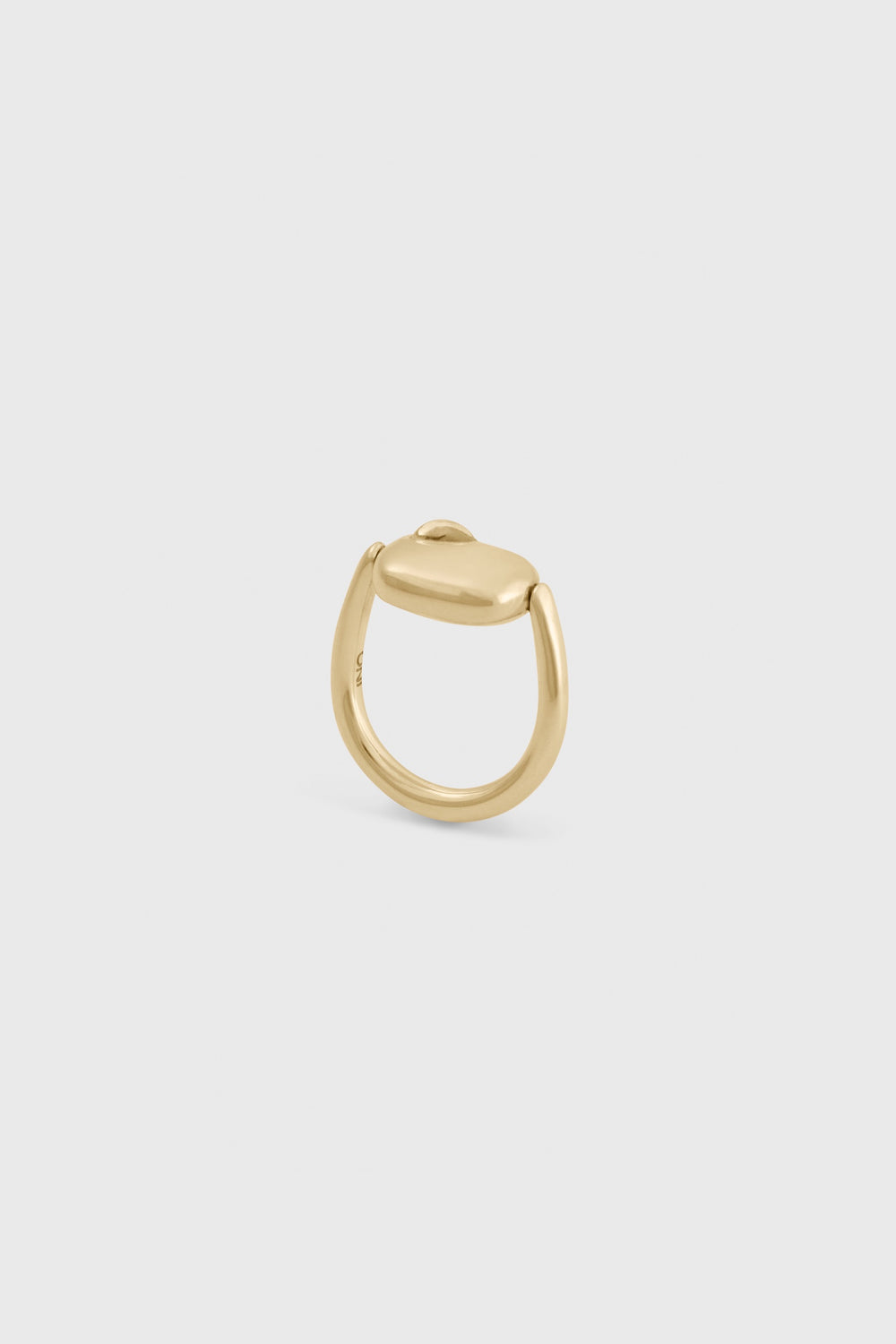 FF Swivel Ring